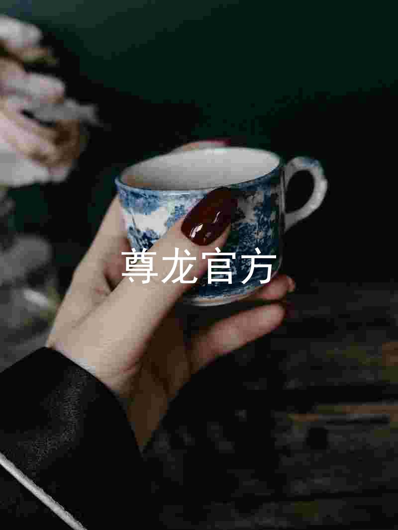 尊龙官方