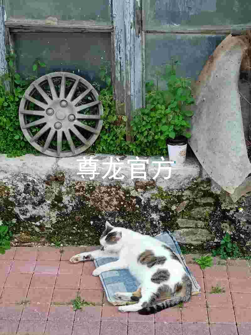 尊龙官方