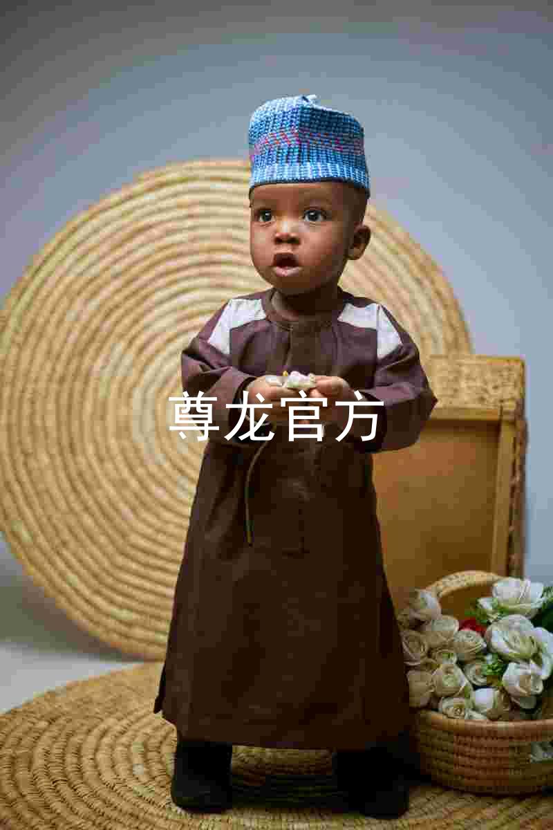 尊龙官方