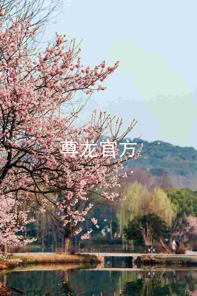 尊龙官方