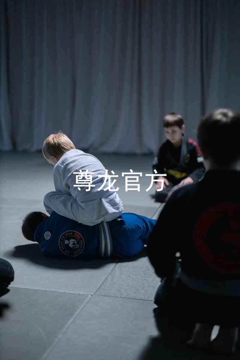 尊龙官方