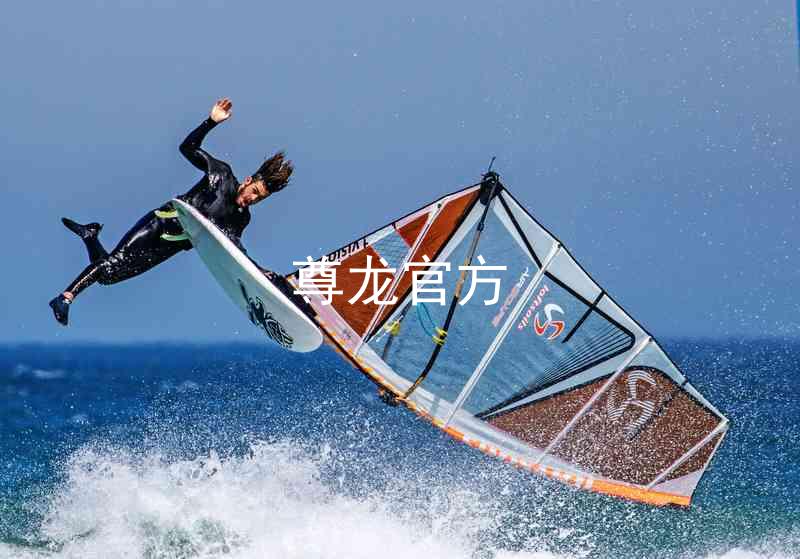 尊龙官方