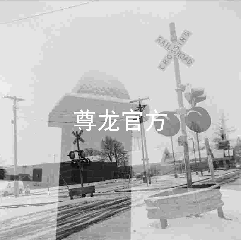 尊龙官方