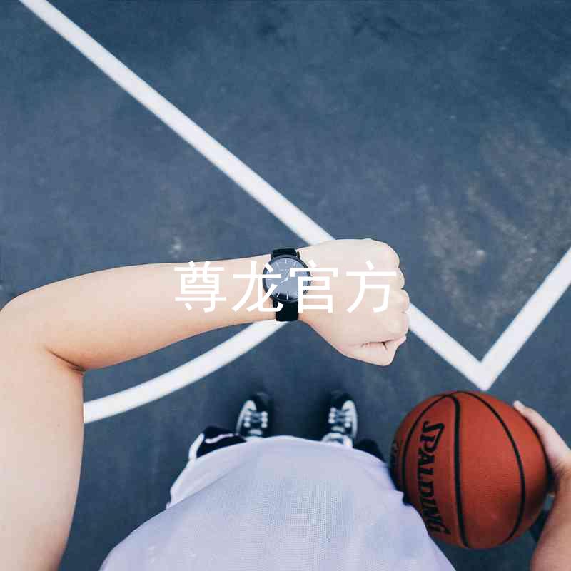 尊龙官方
