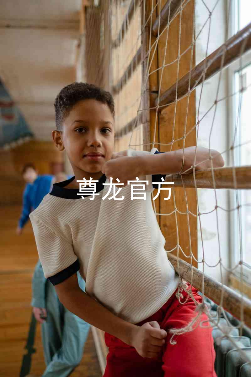 尊龙官方