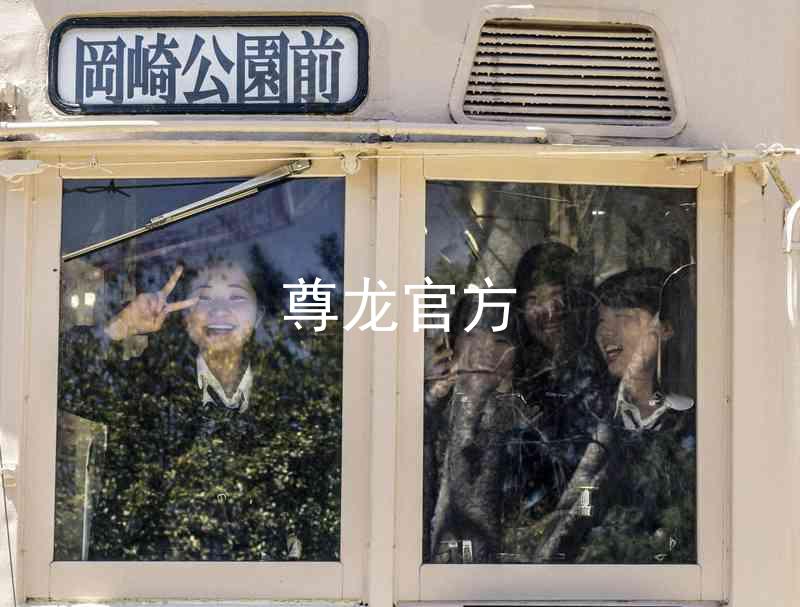 尊龙官方