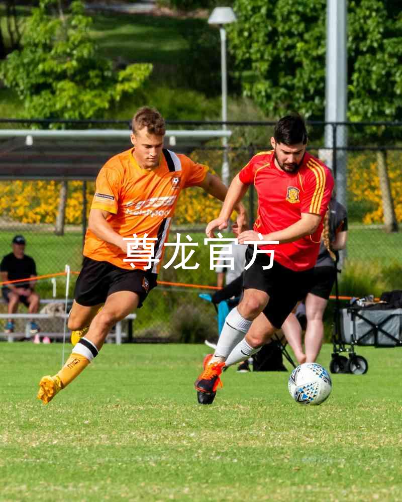 尊龙官方