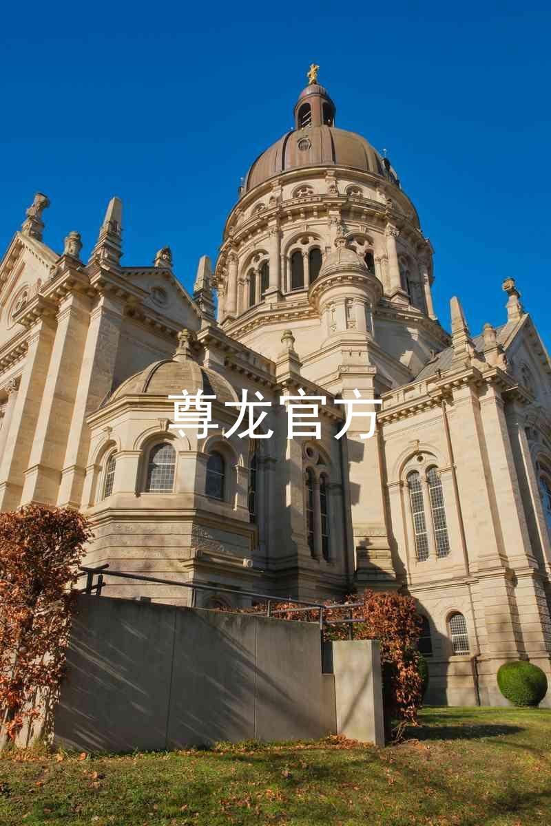 尊龙官方