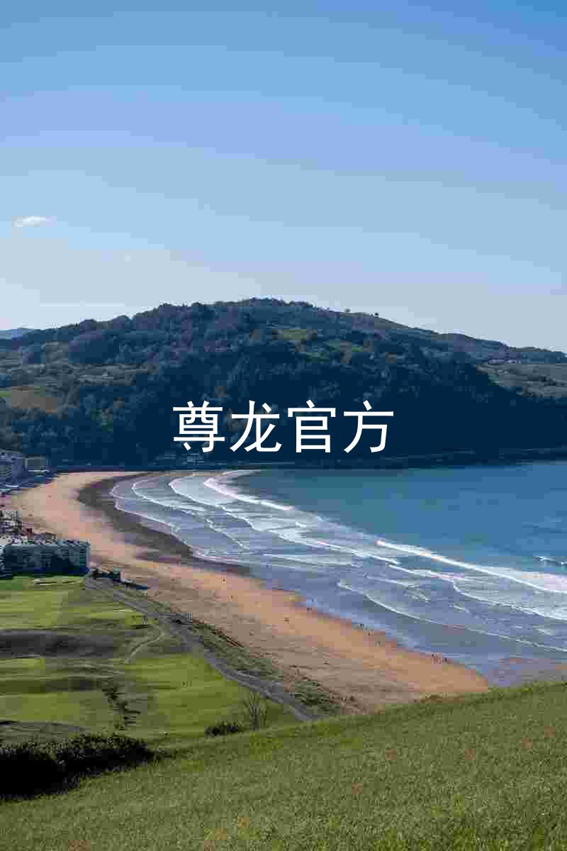 尊龙官方
