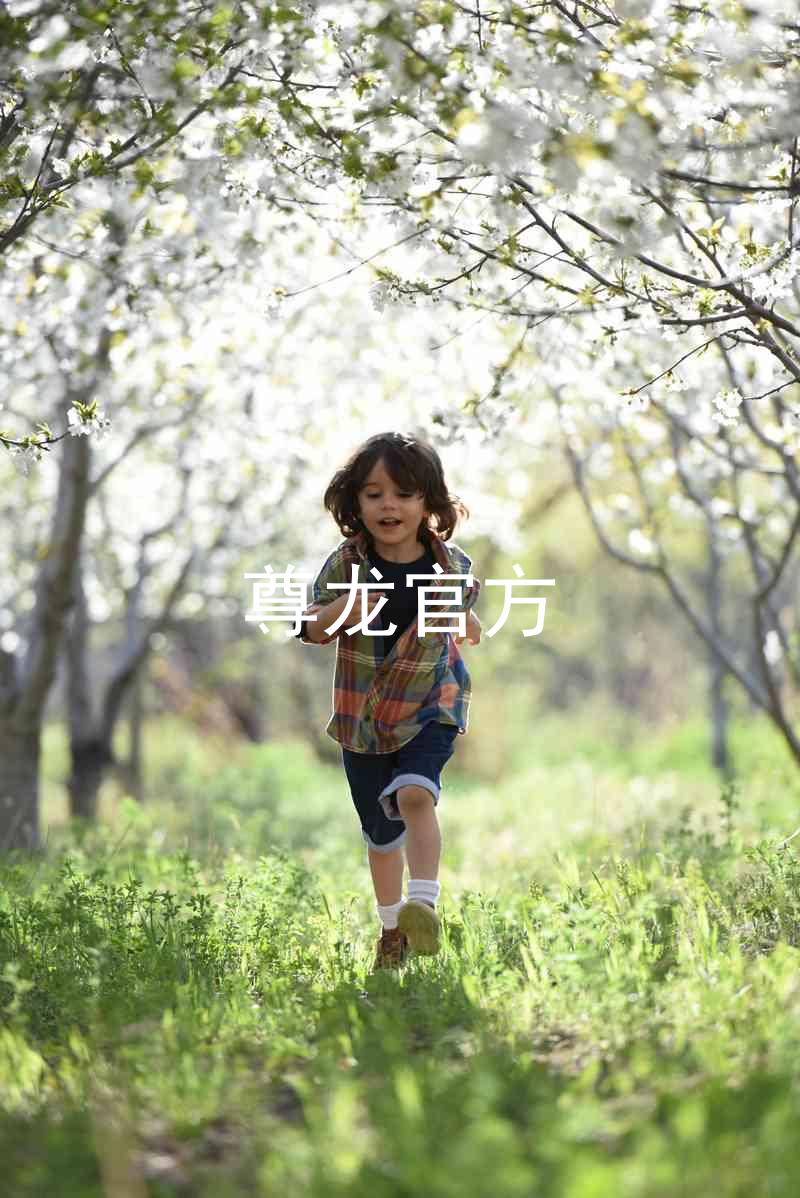 尊龙官方